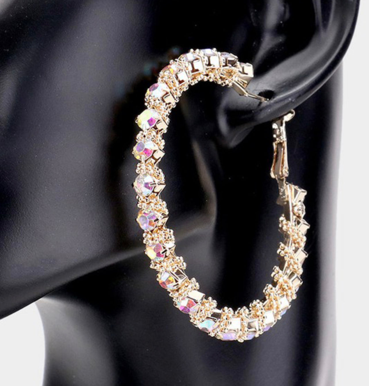 The Tina Stone Hoop Earrings